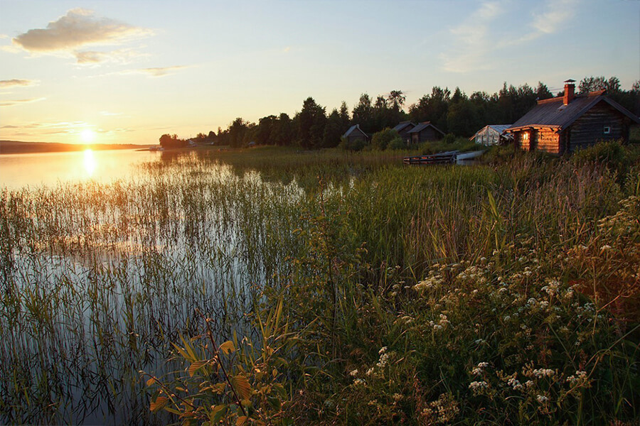 поле лес закат 