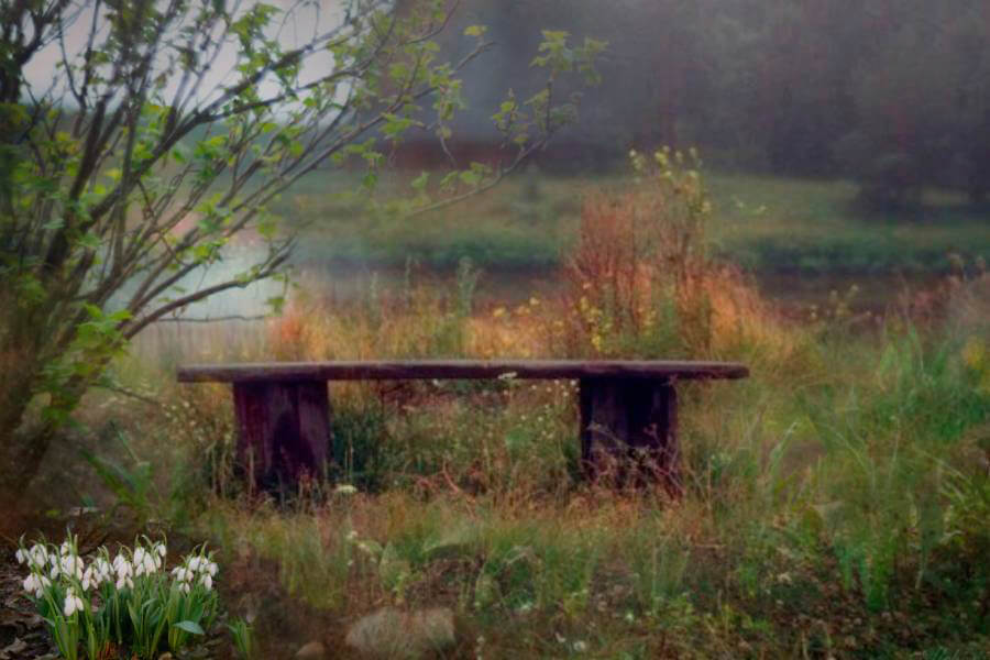 скамейка в деревне