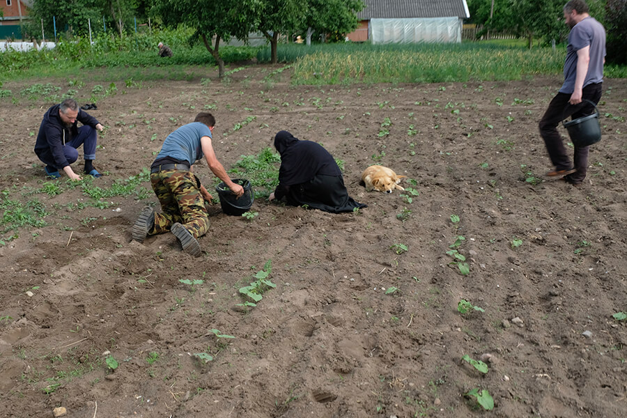 на поле